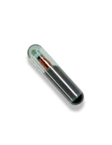 TRANSPONDER 48 MEGAMOS CRYPTO II