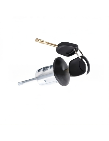 BLOCCHETTO PORTIERA DESTRA FORD