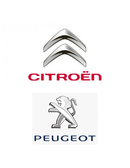 CITROEN/PEUGEOT