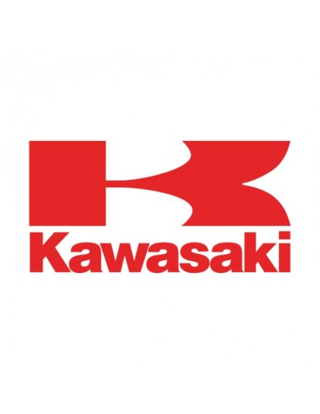 KAWASAKI